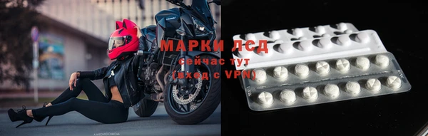 ГАЛЛЮЦИНОГЕННЫЕ ГРИБЫ Няндома