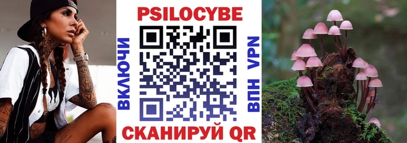 Купить где  Норильск  Псилоцибиновые грибы Psilocybine cubensis 